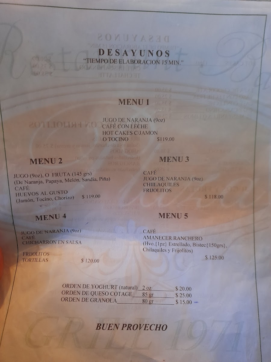 Pizza Plaza 1991 Restaurante Menu - Image 5